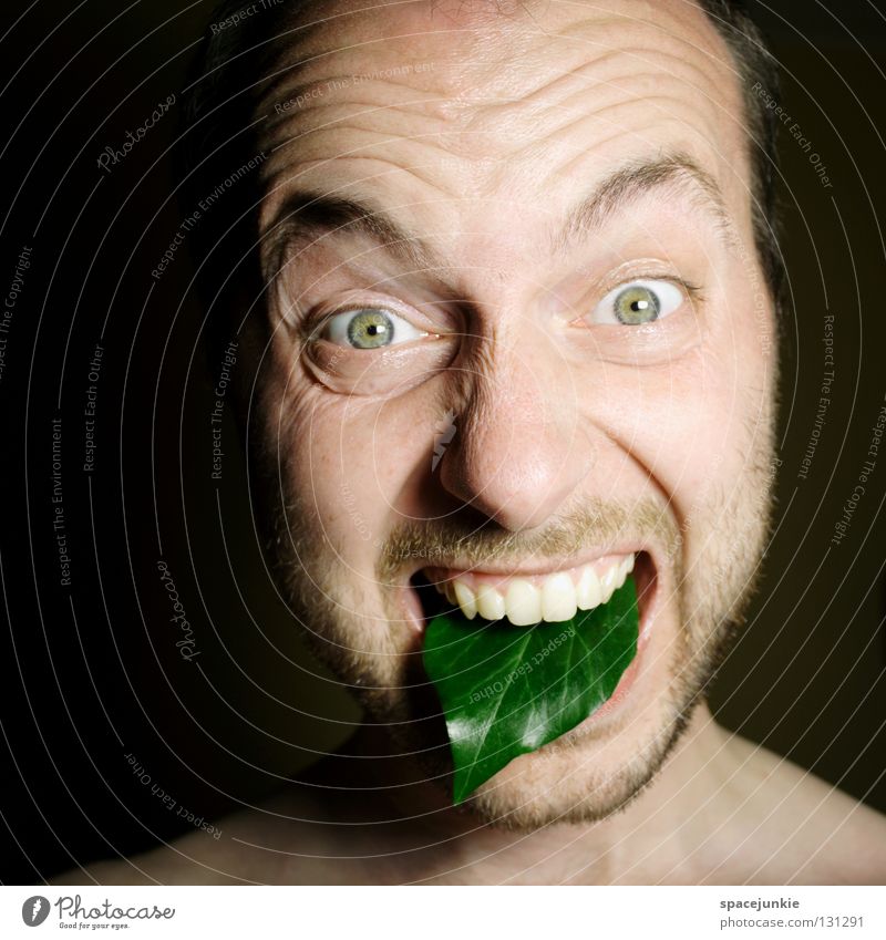Grüne Zunge Mann schreien Porträt Freak Angst beängstigend dunkel schwarz Zähne zeigen böse verrückt Gefäße Blattadern grün Humor Freude Gesicht Mensch Gewalt