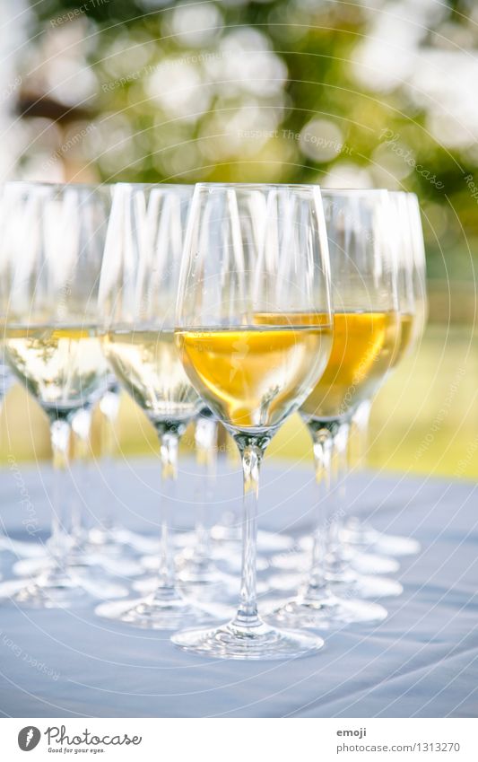 drinks Getränk Alkohol Wein Sekt Prosecco Champagner Glas Sektglas lecker süß Feste & Feiern Farbfoto Außenaufnahme Menschenleer Tag Schwache Tiefenschärfe