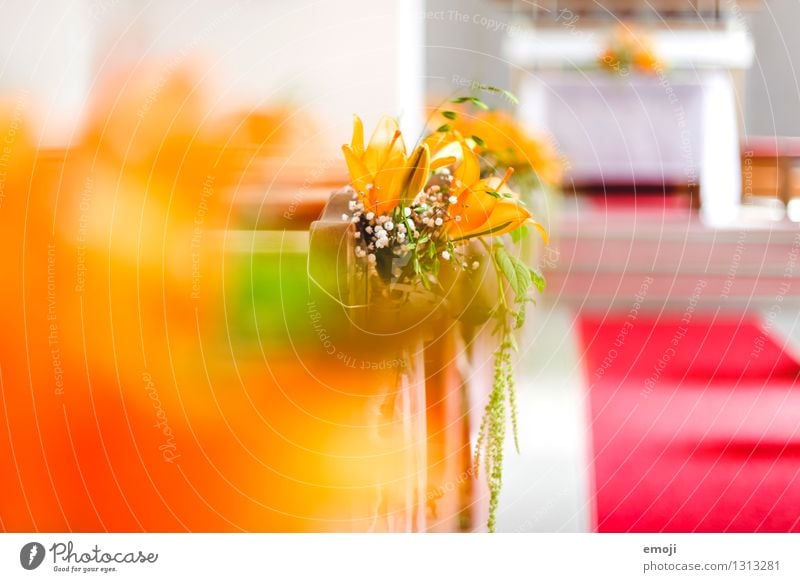 Kapelle Pflanze Blume Kirche Dekoration & Verzierung Kitsch Krimskrams hell orange Hochzeit Hochzeitszeremonie Farbfoto mehrfarbig Innenaufnahme Nahaufnahme