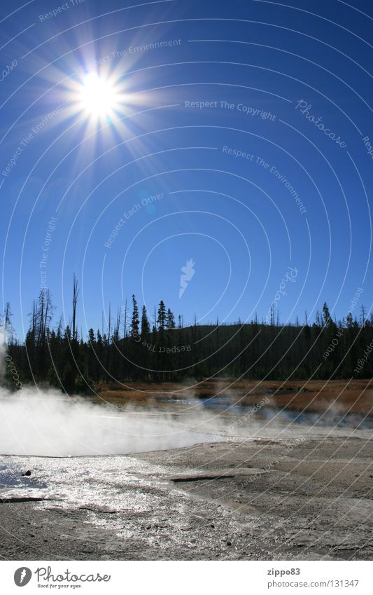 Sonne mit Wald Mittag Herbst Nebel Physik Wasser (heiß) blauer Himmel USA Yellowstone Nationalpark Wärme