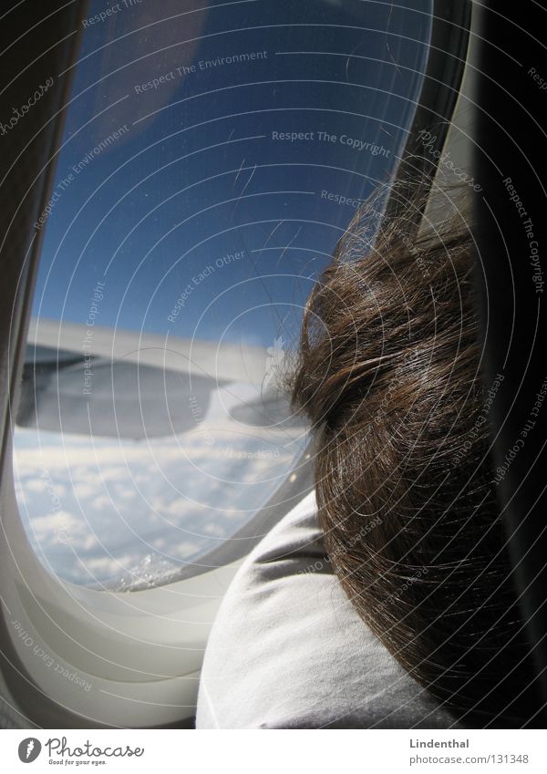 Flug vergeht im Schlaf Flugzeug schlafen Kissen Fenster Luke Bullauge Triebwerke Luftverkehr airplane sleep Flügel Kopfkissen