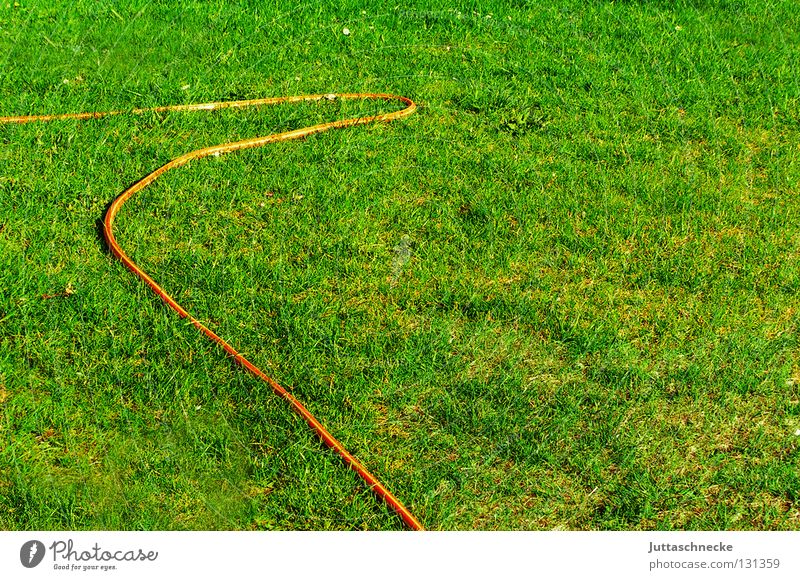 Boa Plastikor Schlauch Gartenschlauch Wiese Gras trocken Wachstum sprengen Gärtner grün Gartenarbeit Freizeit & Hobby Arbeit & Erwerbstätigkeit Sommer nass
