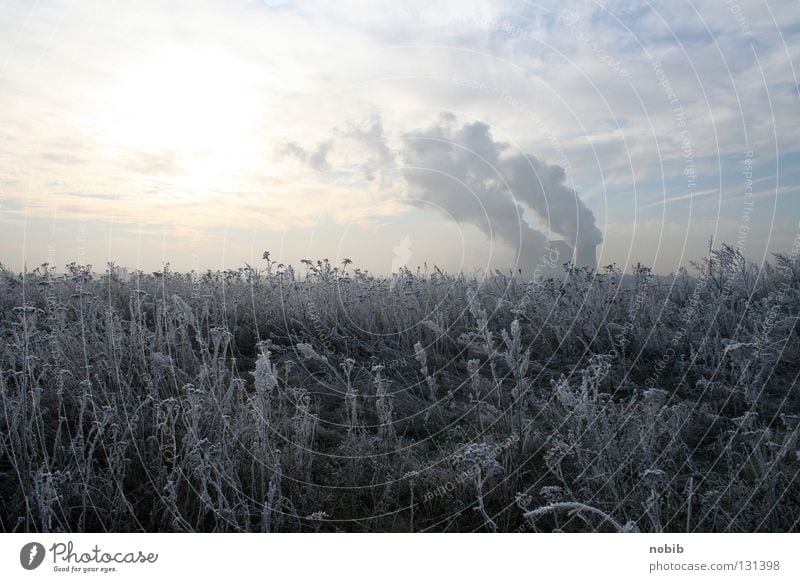 Frost Raureif Winter Braunkohle grau Wolken Feld Wiese kalt Rauch Schne Sonne Stromkraftwerke Gestrüb Himmel Schnee Kühlturm