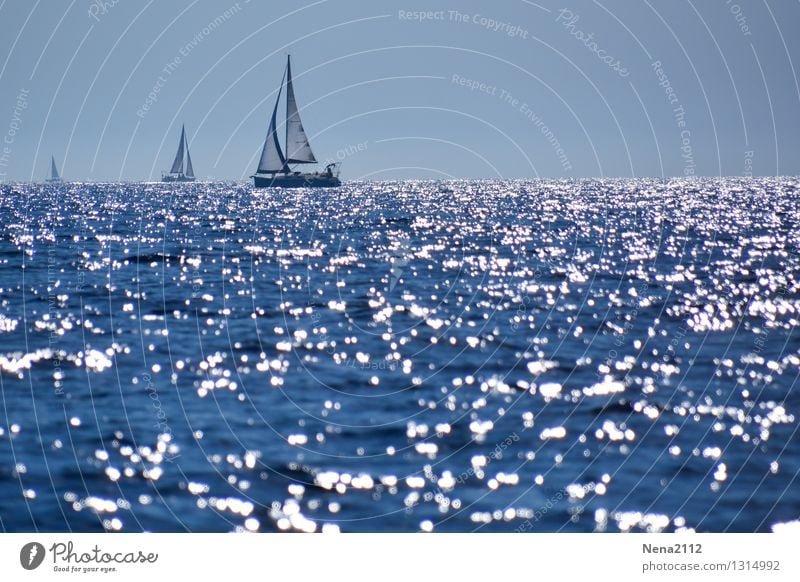 Hinterm Horizont geht's weiter Umwelt Natur Landschaft Urelemente Luft Wasser Himmel Sommer Klima Schönes Wetter Nordsee Ostsee Meer Glück Unendlichkeit blau