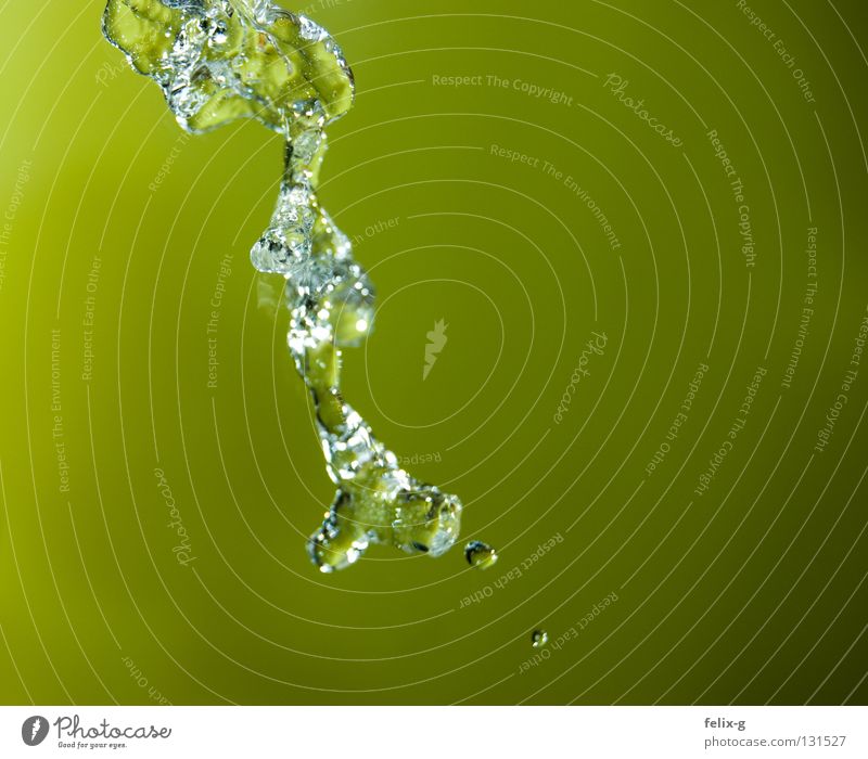 Grünes Nass Küche Wasserhahn grün stagnierend Zeit Wassertropfen splash water Tropfen Momentaufnahme Blubbern