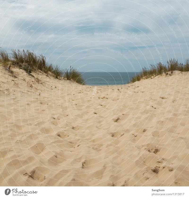 Dünenlandschaft mit Blick auf den Atlantik Ferien & Urlaub & Reisen Ferne Sommer Sommerurlaub Strand Meer Wellen Natur Landschaft Sand Wasser Himmel Wolken