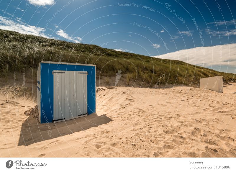 Beachbox Ferien & Urlaub & Reisen Tourismus Sommer Sommerurlaub Strand Meer Natur Landschaft Pflanze Sand Himmel Schönes Wetter Gras Küste Nordsee Düne