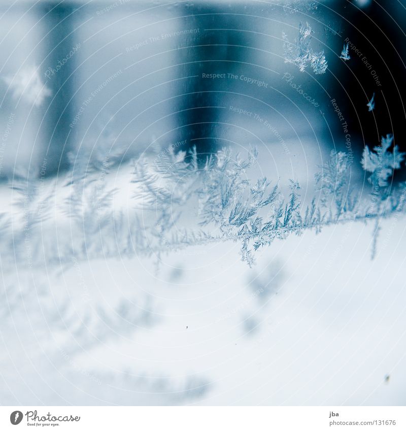 Schneestern Eiskristall kalt Muster grau Winter Fensterscheibe Glas Frost Tiefenunschärfe Fenstersheibe Führerhaus