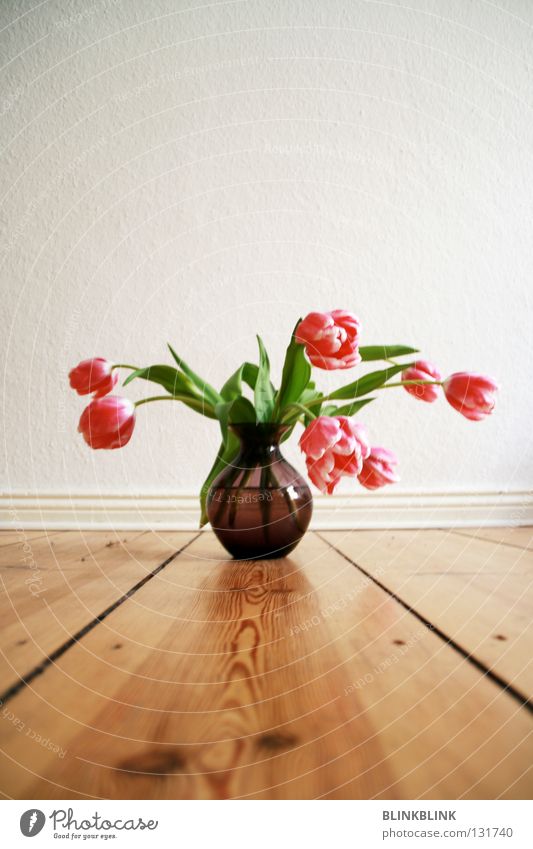 #2 Tulpe Blumenstrauß Blumenvase Vase retro violett rosa Wand Holz Frühling grün Niederlande Glasvase Flur Dekoration & Verzierung Interior Wasser Leben Pflanze