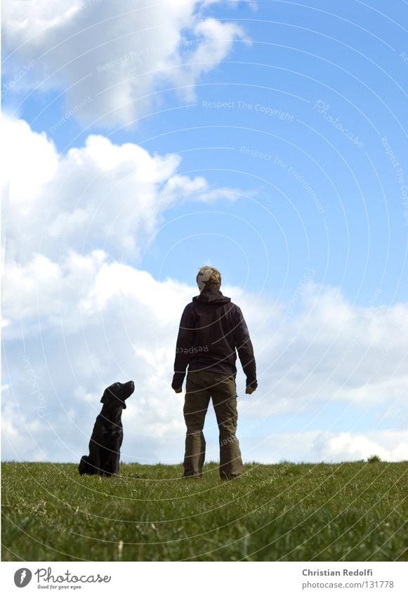 mann mit hund ..... Mann Freundschaft Feld Hügel Gras Hund Labrador Wiese Wolken Frühlingstag Spaziergang grün schwarz weiß Tier hundehalter herrchen Mensch
