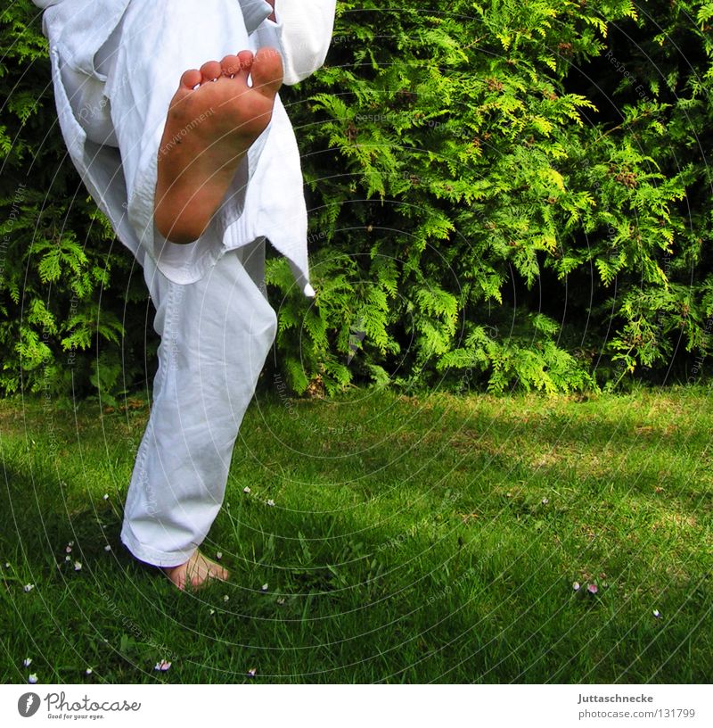 Im Gleichgewicht Karate Judo Kampfsport weiß grün üben Kick springen Kampfanzug Fußtritt treten Japan Samurai Zufriedenheit schlagen Kämpfer Karateka Gegner