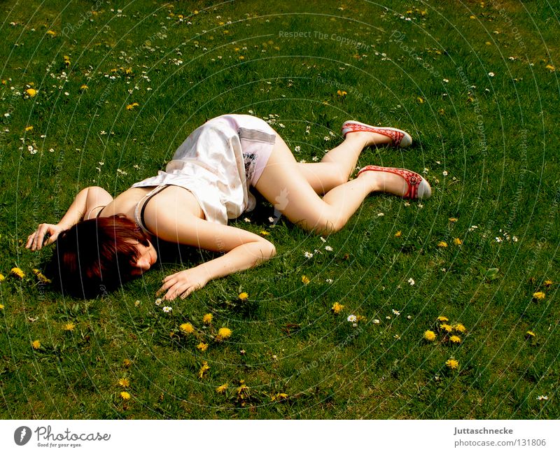 Das Gras wachsen hören Frau liegen ausgestreckt flach Knockout Müdigkeit schlafen Wiese Blumenwiese Misserfolg umgefallen umfallen fertig Gelächter Begeisterung