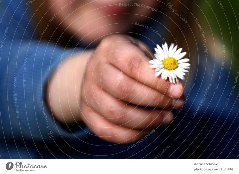 Für Dich! Kind Blume Gänseblümchen Hand Frühling danke schön Wunsch Kleinkind Liebe für Dich