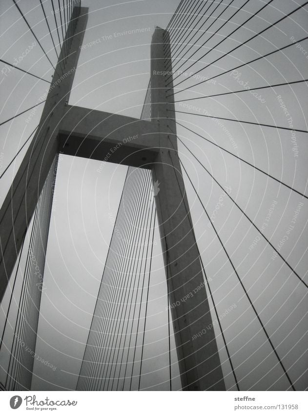 KABELAGE Kabel Himmel schlechtes Wetter Fluss Brücke Verkehr Schifffahrt Wasserfahrzeug Linie groß grau schwarz weiß Macht Shanghai China Hängebrücke streben