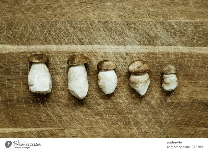 Steinpilze Lebensmittel Pilz Ernährung Gesundheit lecker schön braun genießen Umwelt essbar konservieren Holzbrett Schneidebrett Delikatesse Bioprodukte