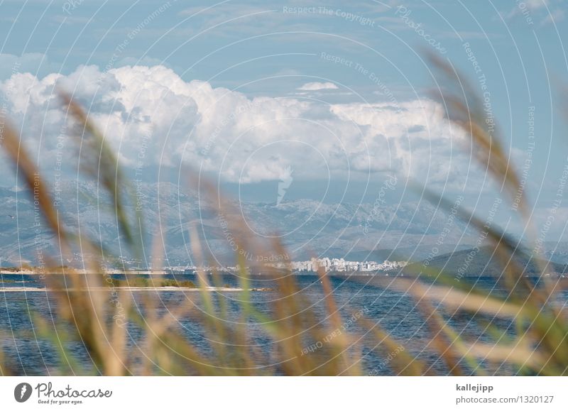 split - marjan Stadt Hafenstadt Haus nachhaltig Gras Schilfrohr Wolken Gewitterwolken Split Kroatien Küste Berge u. Gebirge Adria Sommerurlaub Farbfoto