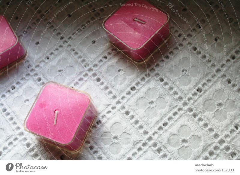 PINK CANDLES ON KITSCH rosa magenta mehrfarbig wohnlich Romantik mädchenhaft Pflanze Blume Kerze Kitsch Tisch Dekoration & Verzierung schön Freundlichkeit