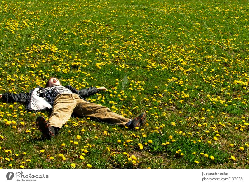 Löwenzahnengel Pause Erholung Wiese Blumenwiese schlafen gelb Sommer Frühling grün liegen träumen Freude Kindheit liegen Zufriedenheit chillen relaxen Müdigkeit