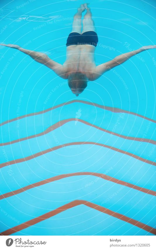 Nachmacher Wellness Leben Schwimmbad Schwimmen & Baden tauchen maskulin Junger Mann Jugendliche Erwachsene Körper 1 Mensch Wasser Linie ästhetisch