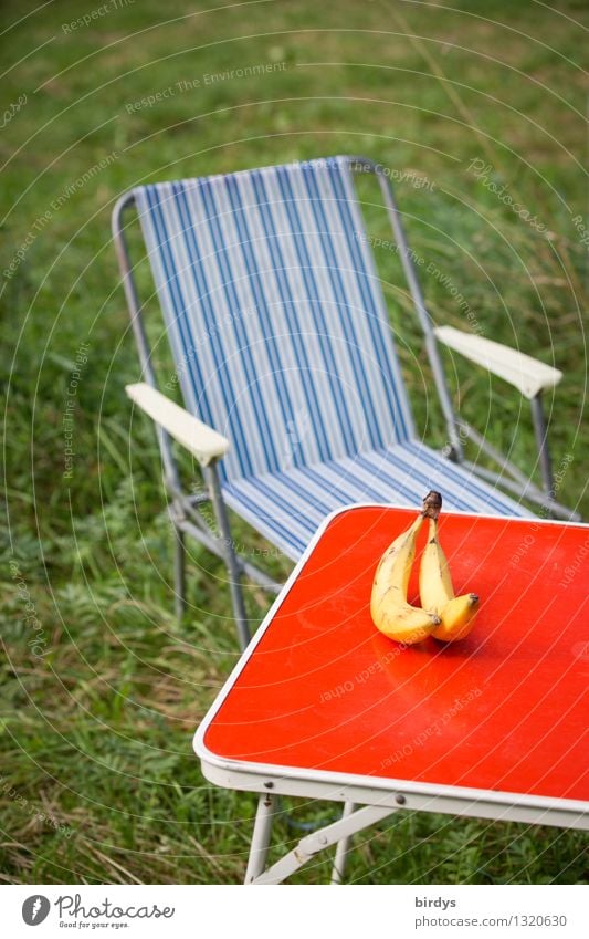 Retro-Camping mit Banane Frucht Lifestyle Sommerurlaub Stuhl Tisch Klappstuhl Wiese authentisch Originalität positiv retro blau gelb grün rot Lebensfreude