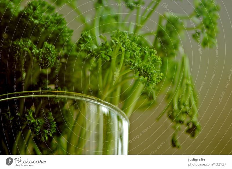 Petersilie Kräuter & Gewürze Küche Vase frisch Lebensmittel grün Farbe pertersilie küchenkraut Blumenstrauß Glas Wasser Ernährung aromatisch