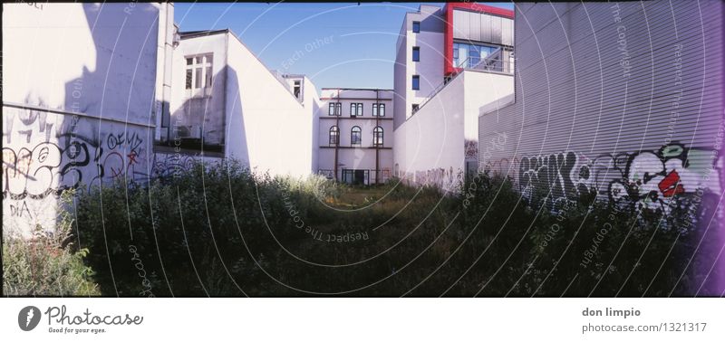 grüner hinterhof Architektur Sommer St. Pauli Hafenstadt bevölkert Ruine Gebäude Mauer Wand Fassade Garten Graffiti außergewöhnlich retro Stadt mehrfarbig ruhig