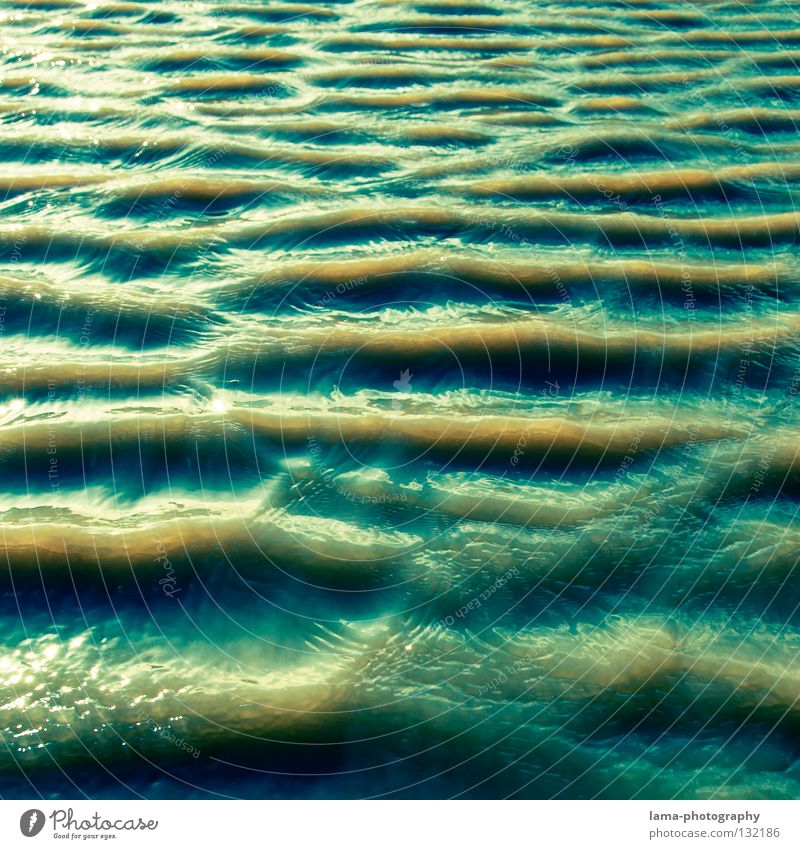199 - unruhig Wasser Wellen Wind Leidenschaft See Meer Gewässer tauchen kalt nass tief grün braun Ebbe dreckig Umwelt Lebensraum Teich Strukturen & Formen