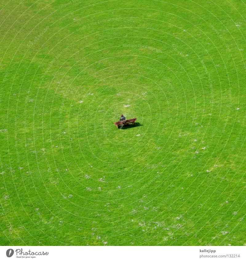 rentenerhöhung Ruhestand Kapitalwirtschaft Kredit Wiese einzeln Gras Feld grün Vogelperspektive unten groß klein Miniatur Mann Reifezeit Zukunft Park Götter