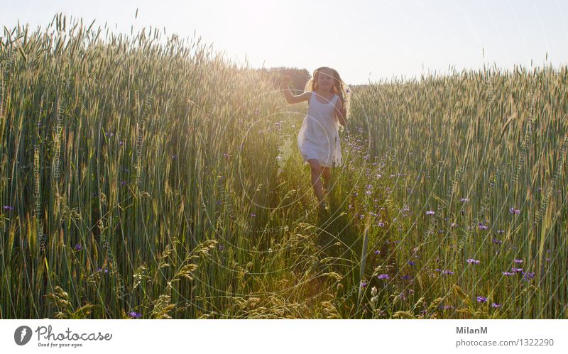 Sommerluft Mensch Mädchen 1 3-8 Jahre Kind Kindheit Sonne Sonnenlicht Schönes Wetter Feld Bewegung entdecken Lächeln leuchten blond Duft frei Freundlichkeit