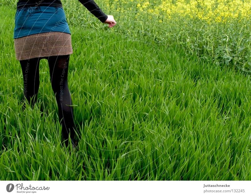 Alice im Wunderland II schwarz Frieden Frau verloren grün Gras Wiese Feld gehen Raps Minirock quer flüchten laufen Frühling friedlich Natur stapfen quer durch