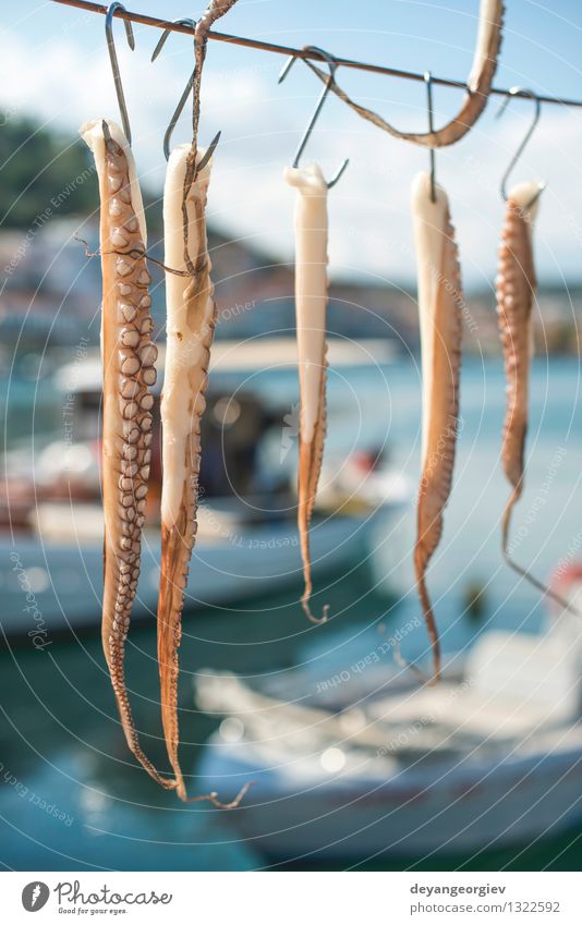 Krake am Seil gebunden Meeresfrüchte Ferien & Urlaub & Reisen Sommer Insel Business Natur Tier Wasserfahrzeug frisch lecker Tradition Fischen Griechenland