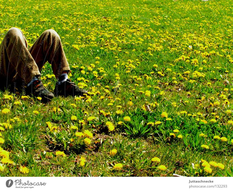 M Pause Erholung Wiese Löwenzahn Blumenwiese schlafen gelb Sommer Frühling grün liegen träumen Schuhe beige braun Kraft Kindheit liegen Zufriedenheit