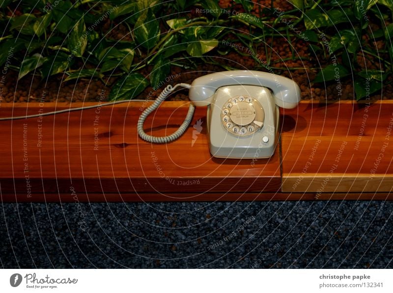 Altes graues Telefon mit Wählscheibe Kommunikation Kabel Telefonanschluss Kontakt Technik & Technologie Telefonhörer Pflanze Medien wählen alt retro grün