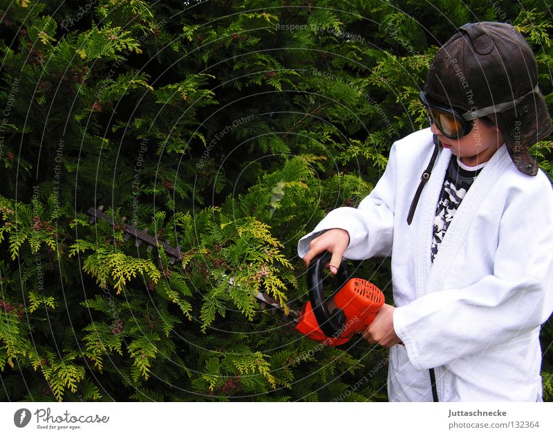 Der Baumchirurg Kind Junge Heckenschere gefährlich Verbote Schutzbrille Gartenarbeit Gärtner elektrisch Arbeit & Erwerbstätigkeit Chirurg geschnitten Sträucher
