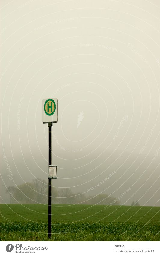 Im Nichts Umwelt schlechtes Wetter Nebel Feld Verkehr Öffentlicher Personennahverkehr Schilder & Markierungen trist grau grün Stimmung Einsamkeit Langeweile