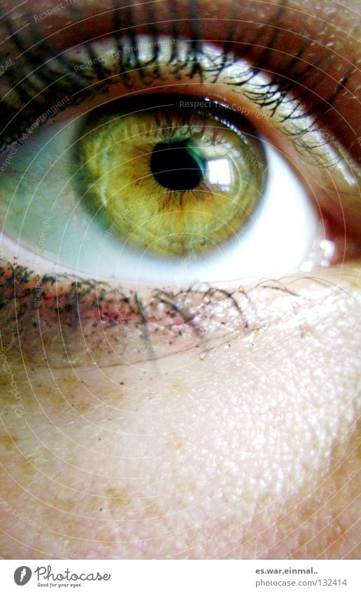 sehen. grün braun Bernstein Pupille schwarz Sommersprossen Wimpern Wimperntusche Makroaufnahme Nahaufnahme Auge grün-braun bernstein-braun-grün lol