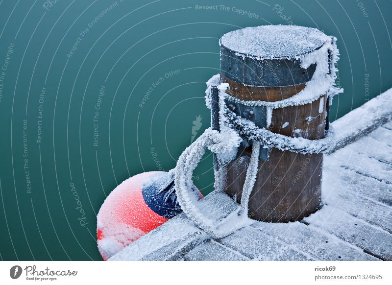 Poller Winter Seil Wasser Eis Frost Küste Ostsee Hafen kalt Farbe Natur ruhig Fender Steg Anlegestelle Schnee Tau Insel Poel Mecklenburg-Vorpommern Timmendorf