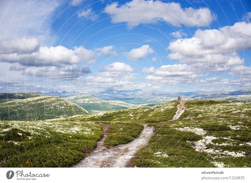 Rondane Nationalpark III Ausflug Abenteuer Ferne Freiheit Berge u. Gebirge wandern Umwelt Natur Landschaft Himmel Wolken Horizont Schönes Wetter Park Wiese