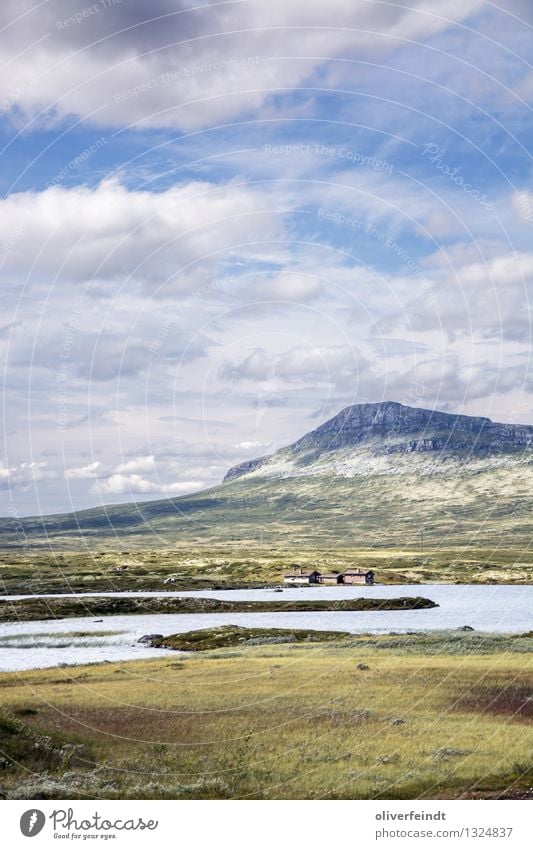 Rondane Nationalpark Ferien & Urlaub & Reisen Ausflug Abenteuer Ferne Freiheit Expedition Umwelt Natur Landschaft Himmel Wolken Horizont Schönes Wetter Wiese