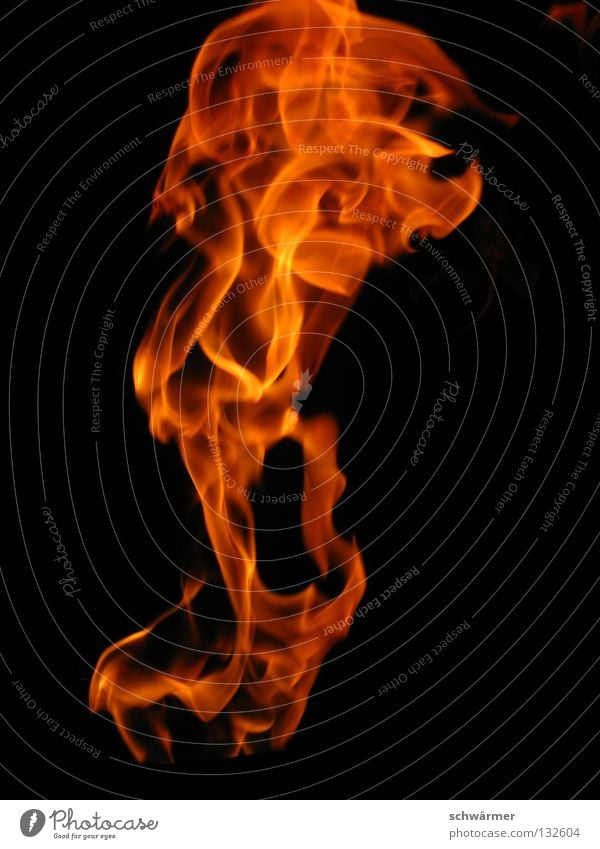 Firescream Feuer Energie Natur heiß Freiheit schwarz wild dunkel Flamme Wärme schreien Brand Wut Ärger Kraft rage
