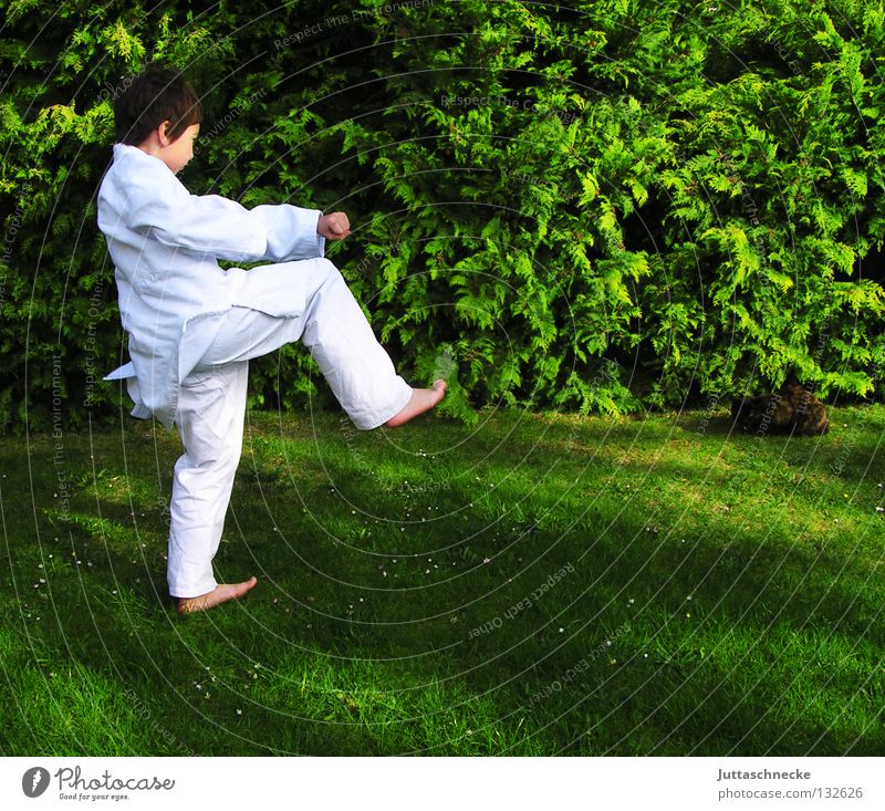 Kalif Storch Karate Judo Kampfsport weiß grün Kind Junge üben Kick springen Kampfanzug Fußtritt treten Japan Samurai Zufriedenheit schlagen Kämpfer Karateka