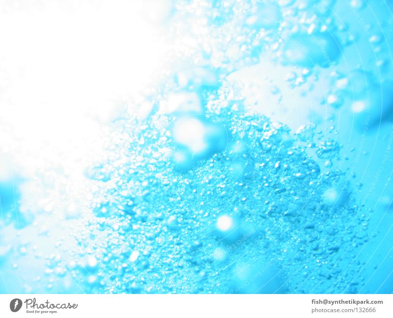 bubbles Licht Luft tauchen aufsteigen Meer Wasser blau blasen Sonne unerwasser