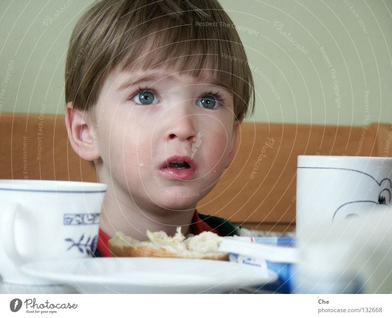 Und wo bleibt die Marmelade? Kind klein Wimpern Frühstück Brötchen Tasse Teller Untertasse Tisch betteln Erwartung Vertrauen offen Konzentration Kleinkind Küche