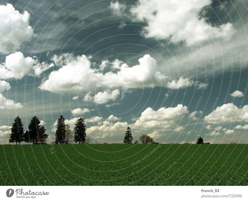 Inningen bei Augsburg Wolken Himmel grau Pol- Filter Baum Gras Feld Horizont Baumreihe Licht grün Altokumulus floccus Landwirtschaft leer Ferne Sonntag genießen