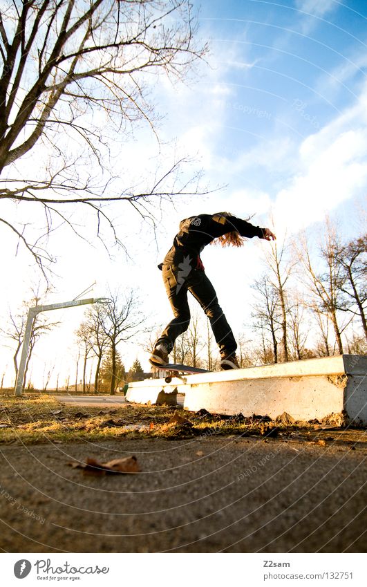 boardslide Aktion Skateboarding Zufriedenheit springen gestreift Teer Beton Licht Baum Weitwinkel Jugendliche Sport Geschwindigkeit Drehung Park Boardslide