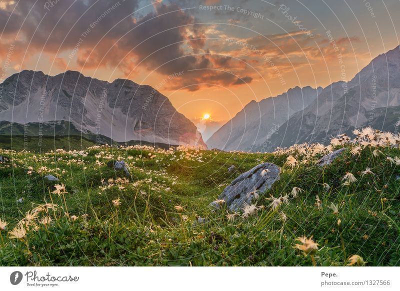 Schönheit Natur Landschaft Pflanze Tier Himmel Sonnenaufgang Sonnenuntergang Sonnenlicht Felsen Alpen Berge u. Gebirge Gipfel Glück Zufriedenheit Orange