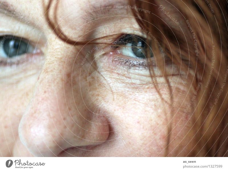 Hey! feminin Frau Erwachsene Leben Haare & Frisuren Gesicht Auge Nase 1 Mensch 30-45 Jahre rothaarig Locken Blick authentisch Freundlichkeit hell einzigartig