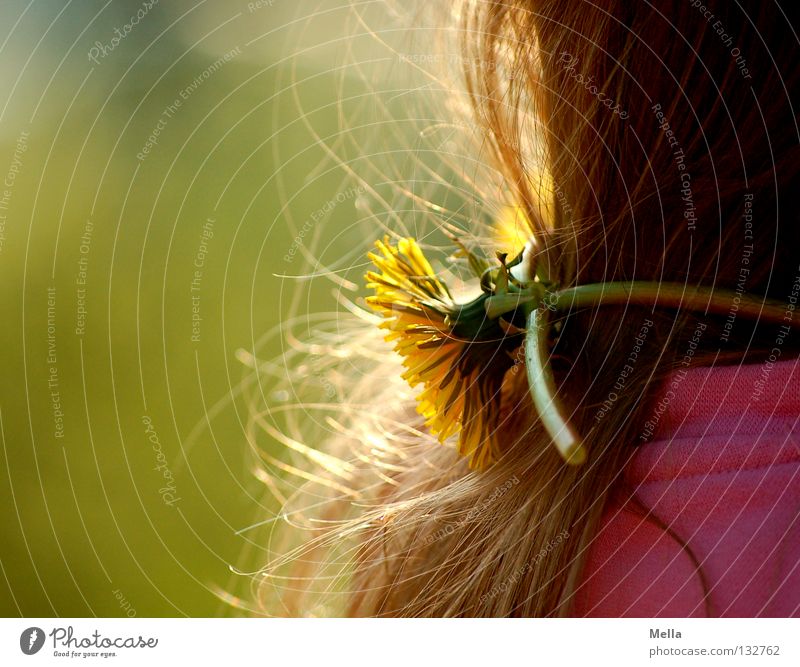 carpe diem II Glück Mädchen Haare & Frisuren 1 Mensch Umwelt Natur Frühling Pflanze Blume Blüte Löwenzahn Fröhlichkeit niedlich süß gelb grün rosa Lebensfreude