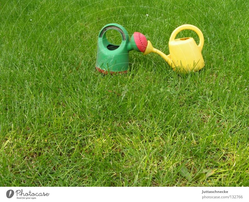 Bussi Kannen Gießkanne grün gelb Küssen Wiese Gras gießen Gärtner Gartenarbeit Spielzeug Wachstum nass Sommer Liebe Rasen Juttaschnecke Natur Außenaufnahme