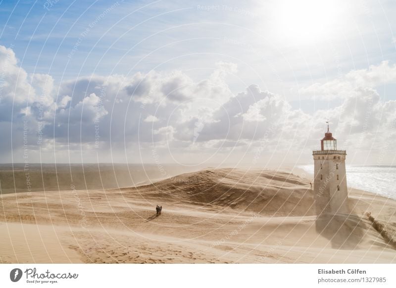 Sandsturm am Leuchtturm Rubjerg Knude Dänemark Landschaft Wahrzeichen Sonne Küste Wanderdüne Wüste Jütland Nordjütland Dünen Naturdenkmal Reise Meer einsam